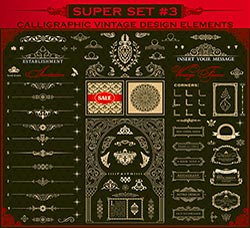 25套精美的矢量复古花纹/边框素材：Set of vintage calligraphic design element